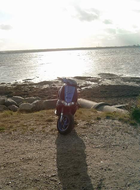 Gilera Runner DD/Sp/Lc billede 14