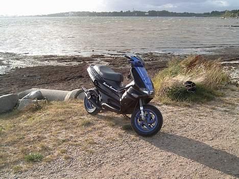 Gilera Runner DD/Sp/Lc billede 15