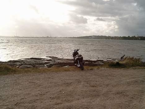 Gilera Runner DD/Sp/Lc billede 16