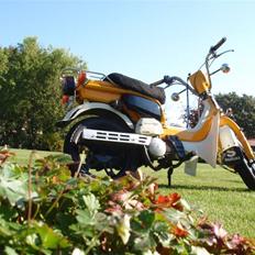 Suzuki fz50