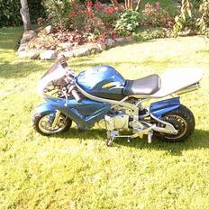 MiniBike Yamaha R6 (Kopi) Tilsalg
