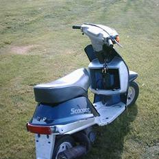 Suzuki Scooper GT ¤ DØD ¤ 