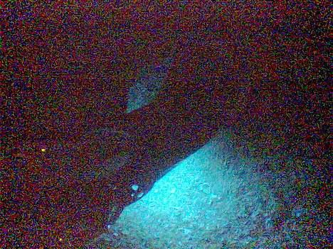 Honda sfx - billede i mørke hvor man kan se lyset fra de 2, 30cm neon rør billede 13