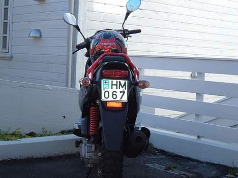 PGO PMX sport billede 2