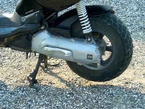 Aprilia Rally AC billede 2