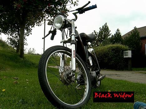 Puch Maxi K -: BlaCk WiDdoW :- - Fedt billede syns jeg selv nice front billede 1