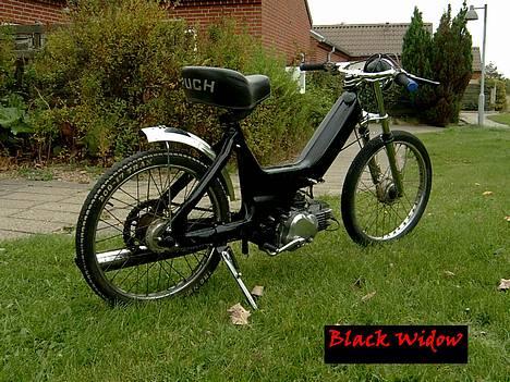 Puch Maxi K -: BlaCk WiDdoW :- - nice ass billede 3