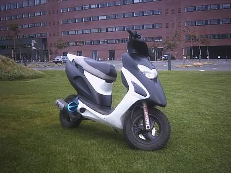 Honda SFX - Solgt billede 5