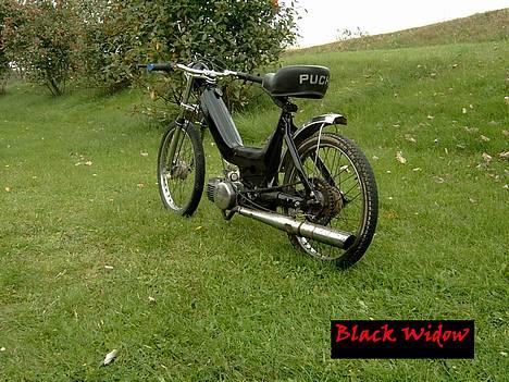 Puch Maxi K -: BlaCk WiDdoW :- - Når enden er god er alting godt :D billede 11