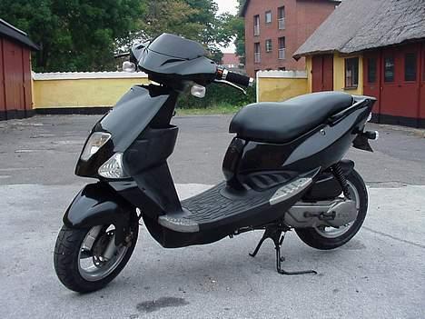 PGO Dr.Big (Solgt) - 1dag gammel.  billede 1