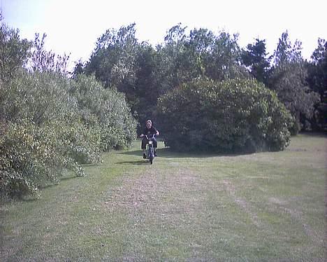 Puch maxi K billede 5