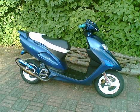 Honda SFX AC "Vilddyret" billede 7