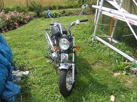 Honda (kopi) Dax billede 2