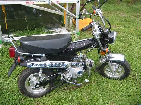 Honda (kopi) Dax billede 3
