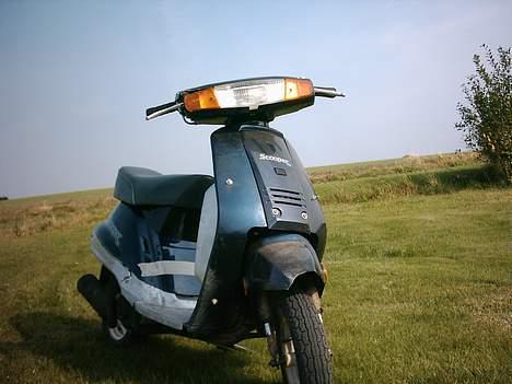 Suzuki Scooper GT ¤ DØD ¤  billede 1