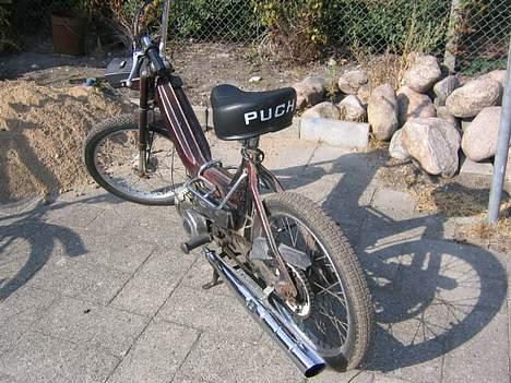 Puch Maxi K  billede 2