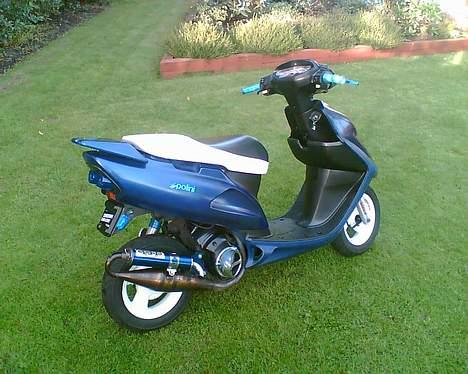 Honda SFX AC "Vilddyret" billede 8