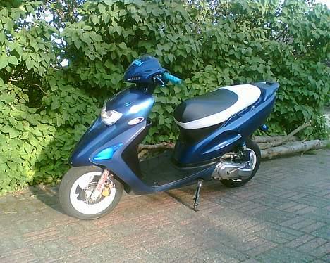 Honda SFX AC "Vilddyret" billede 10