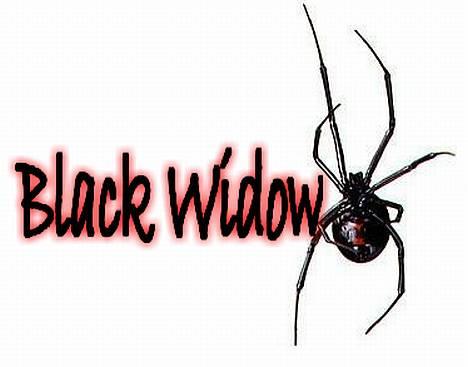 Puch Maxi K -: BlaCk WiDdoW :- - Black Widow (Navnet på maxi´en :D) billede 13