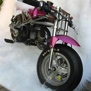 MiniBike Daytona 