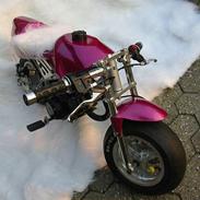 MiniBike Daytona 