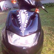 CPI Popcorn Eco SOLGT