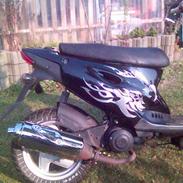 CPI Popcorn Eco SOLGT