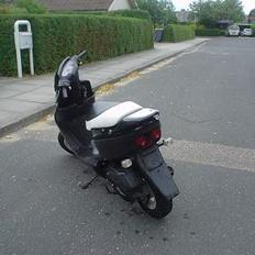 Honda Sfx   ",  SOLGT!
