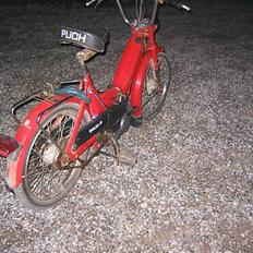 Puch Maxi P