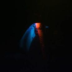 Honda SFX. Byttet/ Solgt.