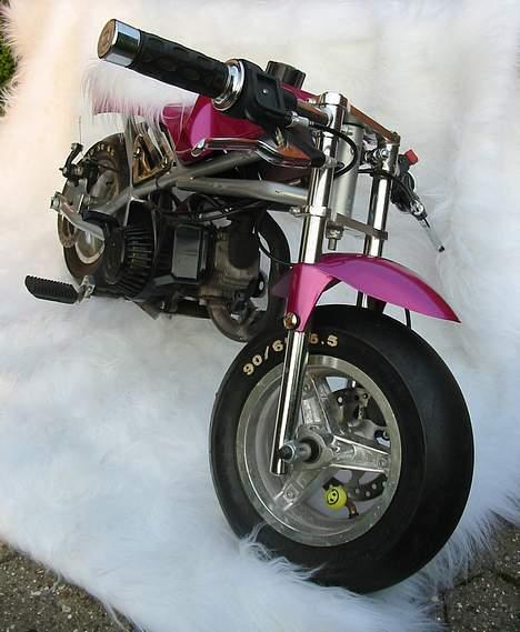 MiniBike Daytona  billede 4