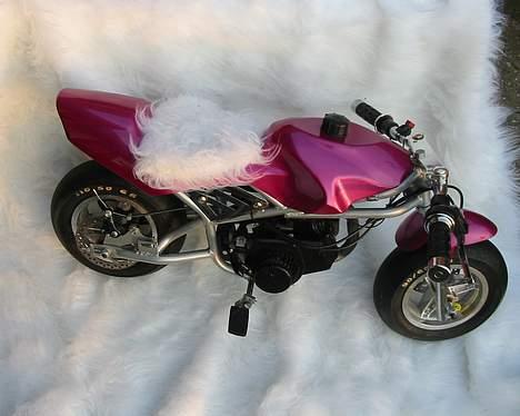 MiniBike Daytona  billede 6