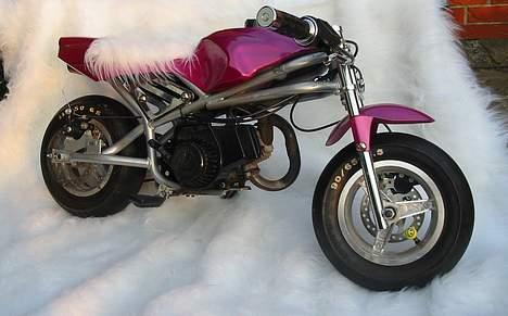 MiniBike Daytona  billede 7