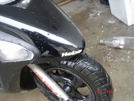 Honda SFX billede 3