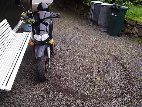 Aprilia rally!!! billede 11