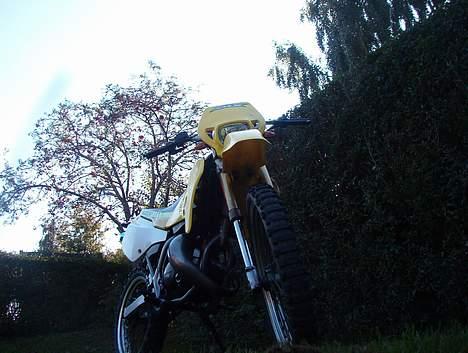 Suzuki RMX *SOLGT* - Total fotograf ;-D billede 11