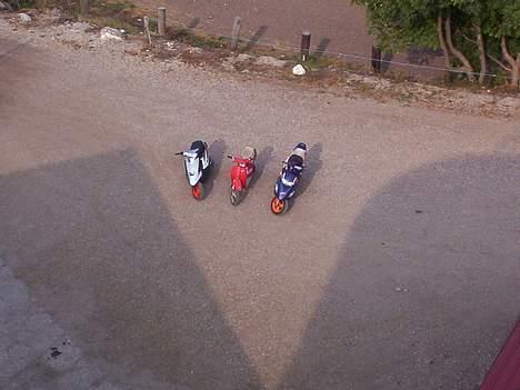 Honda SFX Repsol billede 13