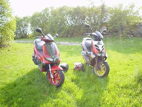 Gilera |Runner pure jet| billede 16