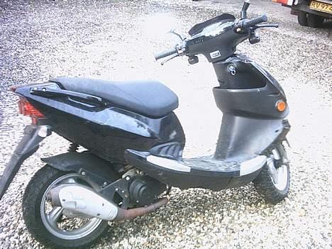 PGO dr big billede 2