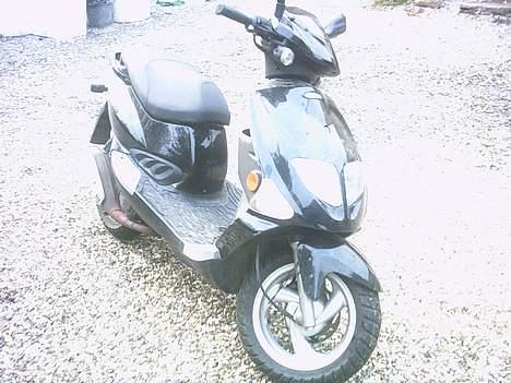 PGO dr big billede 3