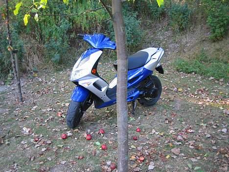 Peugeot Speedfight 2 ~ TIL SALG  - Speedfighten :P billede 8