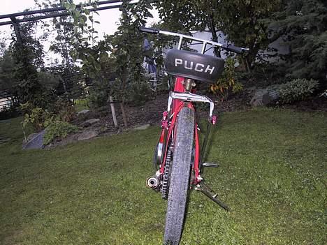 Puch maxi k (Solgt) billede 6