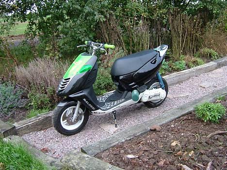 Aprilia Sonic » TBK •Byttet•  - Fræk er den. billede 1