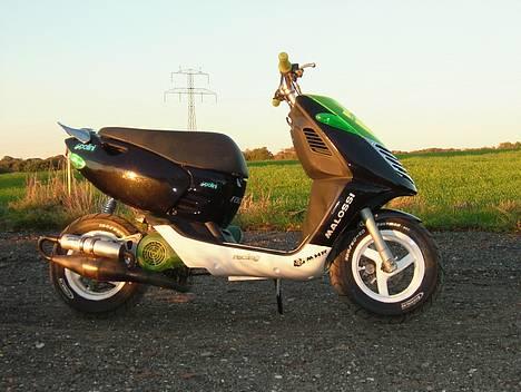 Aprilia Sonic » TBK •Byttet•  - Fra siden. billede 2