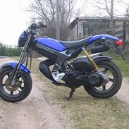 Suzuki Street Magic