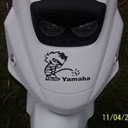 PGO Big max PS50(SOLGT)