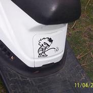 PGO Big max PS50(SOLGT)