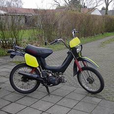 Yamaha Sting sg50 SOLGT!