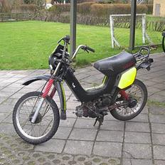 Yamaha Sting sg50 SOLGT!