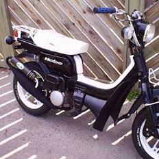 Suzuki Fz'er kræ